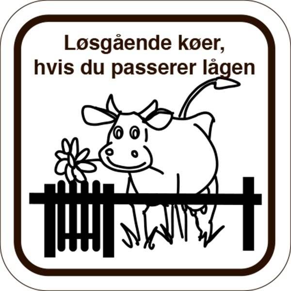 Løsgående køer