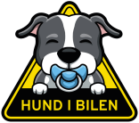 hund i bil baby hund