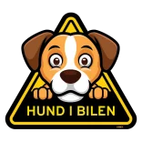 Hund i bil