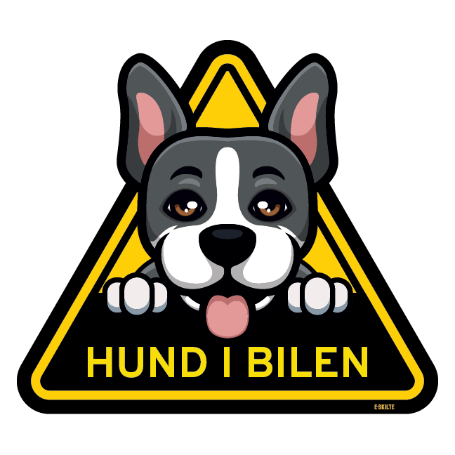 Hund i bilen skilt Hund rækker tunge