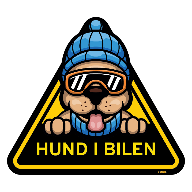 Hund i bilen skilt Hund med skibriller og hue