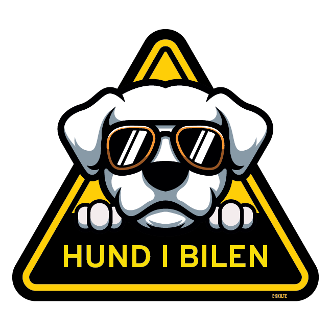 Hund i bilen skilt Hund med solbriller