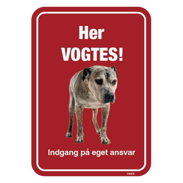 Her vogtes! Hundeskilt