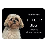 Her bor jeg skilt hund Shih tzu