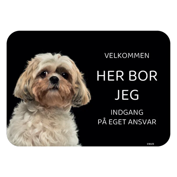 Her bor jeg skilt hund Shih tzu