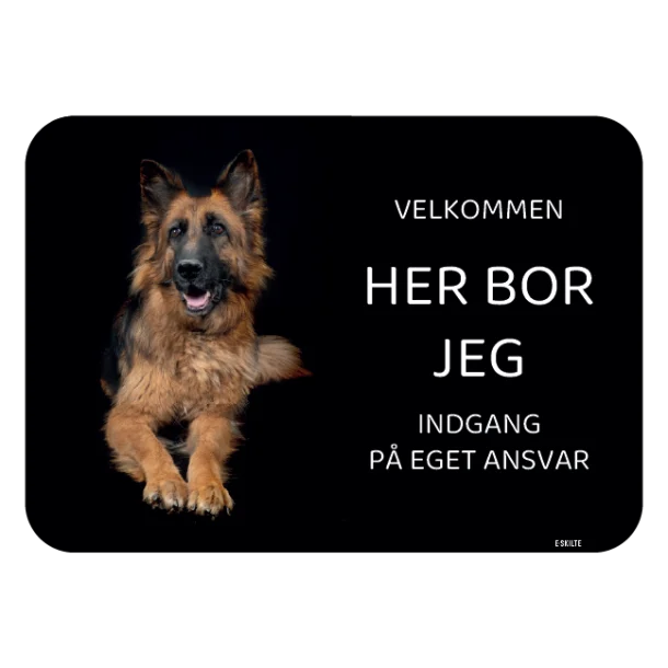 Her bor jeg skilt hund Schæferhund