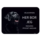 Her bor jeg skilt hund Labrador retriever