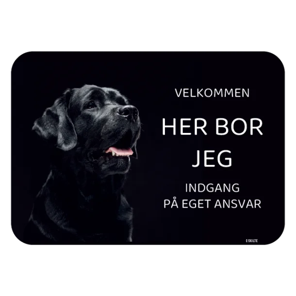 Her bor jeg skilt hund Labrador retriever