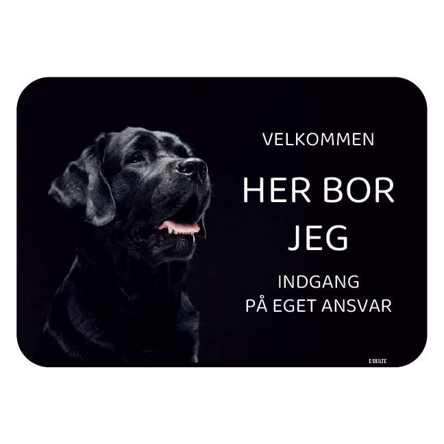 Her bor jeg skilt hund Labrador retriever
