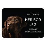 Her bor jeg