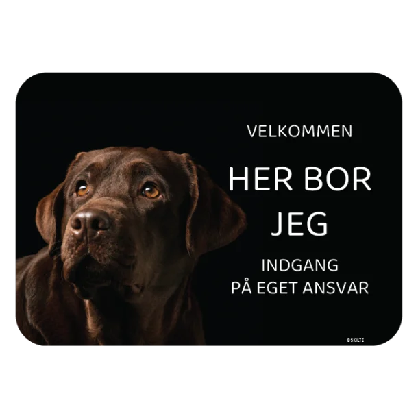 Her bor jeg skilt hund Labrador