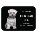 Her bor jeg skilt hund Malteser