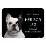 Her bor jeg skilt hund Fransk bulldog