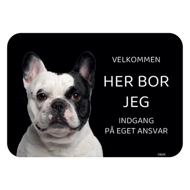 Her bor jeg skilt hund Fransk bulldog