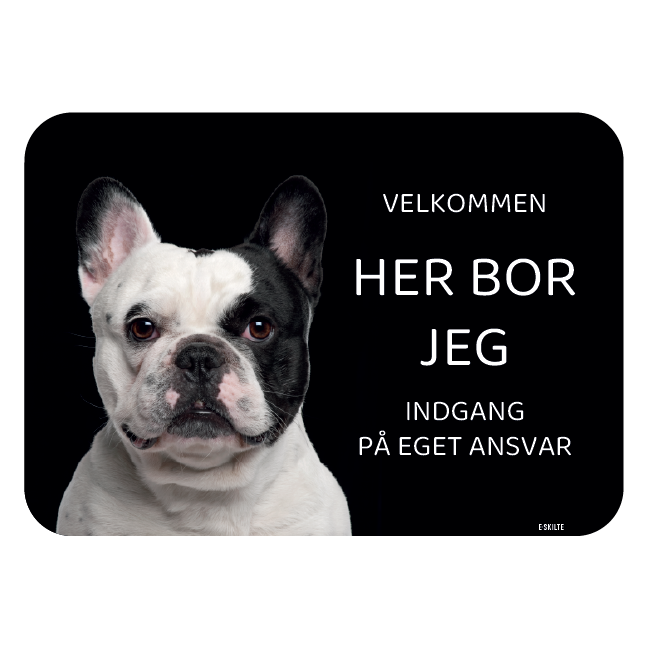 Her bor jeg skilt hund Fransk bulldog