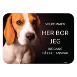 Her bor jeg skilt hund Beagle