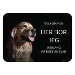 Her bor jeg skilt hund Golden retriever