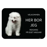 Her bor jeg skilt hund Samoyed