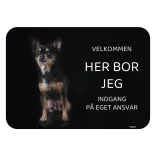 Her bor jeg skilt hund Chihuahua mørk