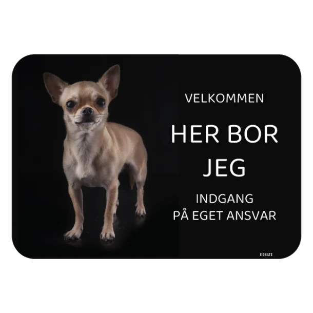 Her bor jeg skilt hund Chihuahua lys