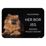 Her bor jeg skilt hund Pomeranian spitz