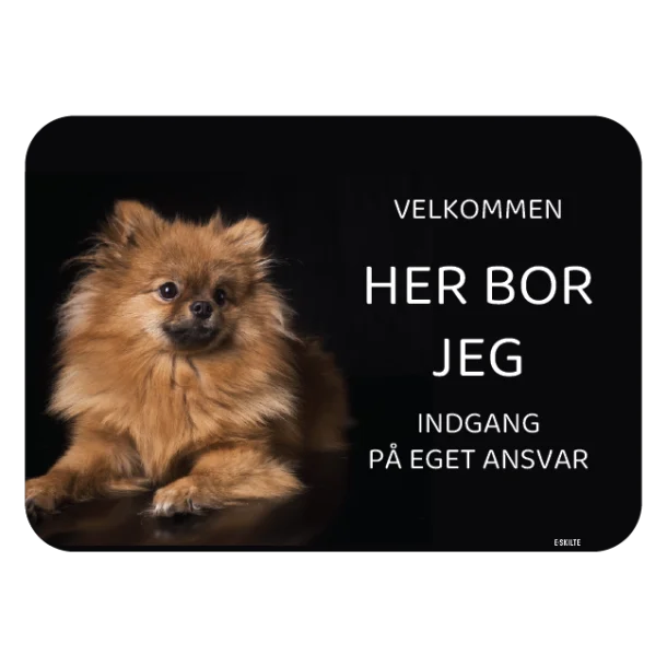 Her bor jeg skilt hund Pomeranian spitz