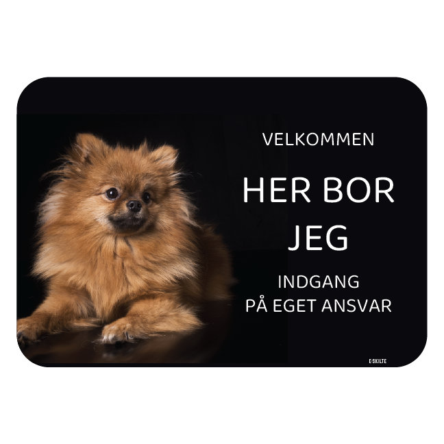 Her bor jeg skilt hund Pomeranian spitz