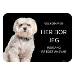 Her bor jeg skilt hund Coton de tulear Bomuldshund