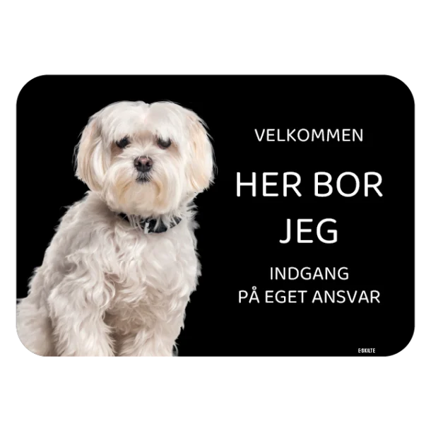 Her bor jeg skilt hund Coton de tulear Bomuldshund