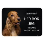 Her bor jeg skilt hund Cocker spaniel