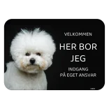 Her bor jeg skilt hund Bichon frisee