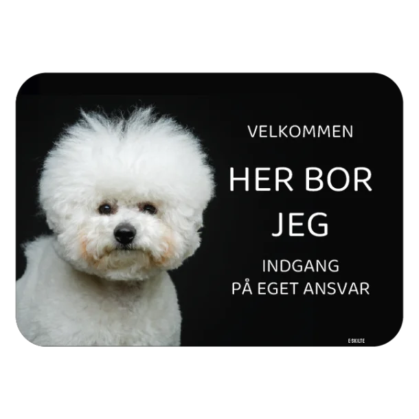 Her bor jeg skilt hund Bichon frisee