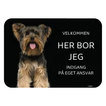 Her bor jeg skilt hund Yorkshire terrier