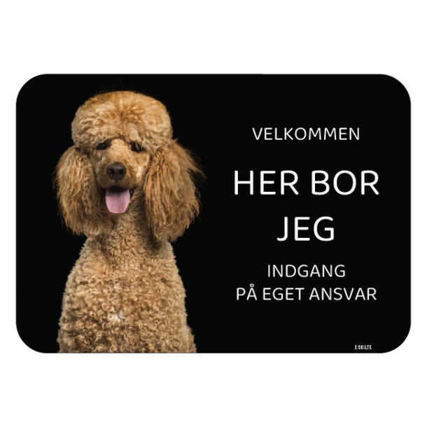 Her bor jeg skilt hund Pudel