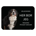 Her bor jeg skilt hund Berner sennen