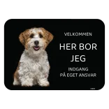 Her bor jeg skilt hund Havaneser Bichon havanais