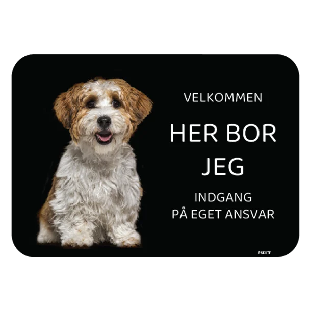 Her bor jeg skilt hund Havaneser Bichon havanais