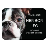 Her bor jeg skilt hund Boston terrier