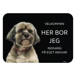 Her bor jeg skilt hund Lhasa apso