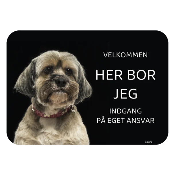 Her bor jeg skilt hund Lhasa apso