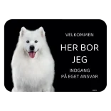 Her bor jeg skilt hund Samoyed voksen