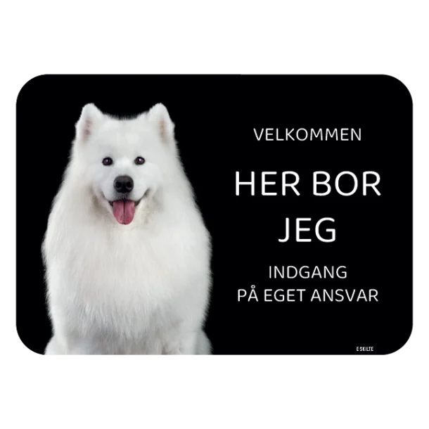 Her bor jeg skilt hund Samoyed voksen