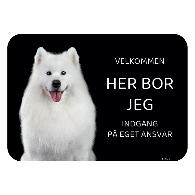 Her bor jeg skilt hund Samoyed voksen
