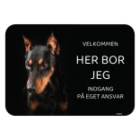 Her bor jeg skilt hund Tysk pinscher