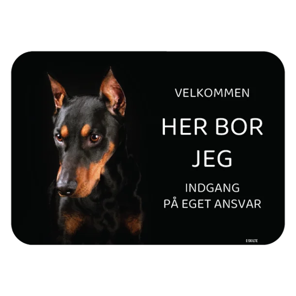 Her bor jeg skilt hund Tysk pinscher