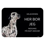 Her bor jeg skilt hund Dalmatiner