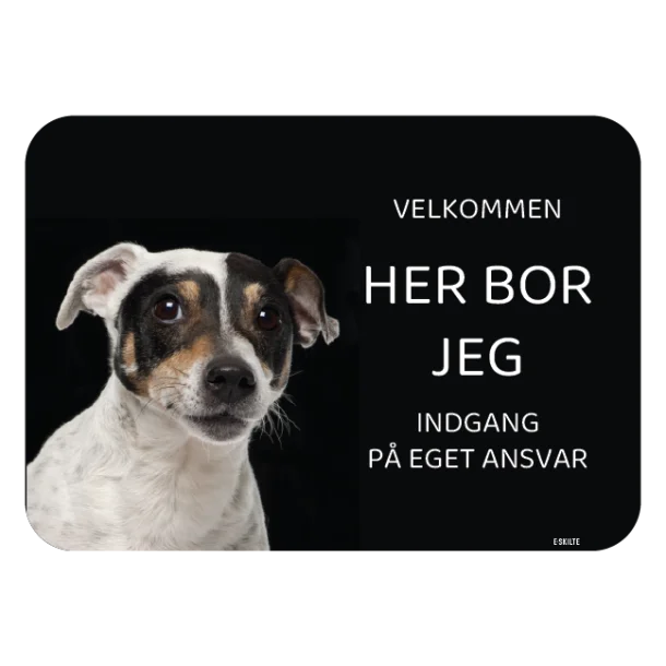 Her bor jeg skilt hund Jack Russell