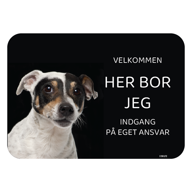 Her bor jeg skilt hund Jack Russell